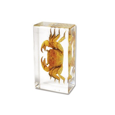 Lucite Piece with Real Crab, 2 7/8 x 1 5/8 x 1"