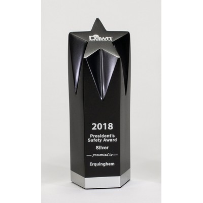 Medium Star Award - 7"