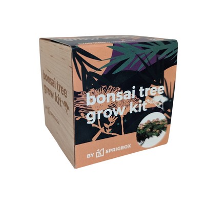 Bonsai Tree Grow Kit