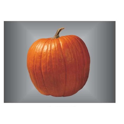 Pumpkin Metal Photo Magnet (2 1/2"x3 1/2")