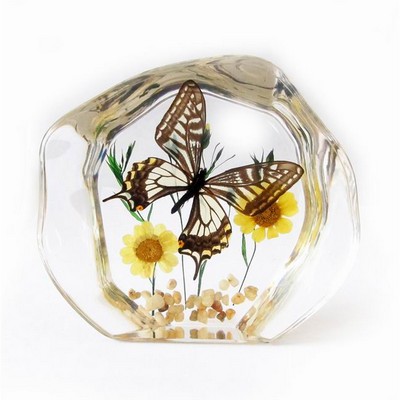 Lucite Paperweight with Real Butterfly, 4 ½ x 3 7/8 x 1"