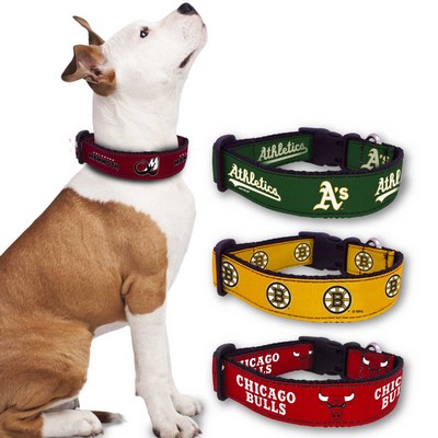 All Star Dogs™ Adjustable Ribbon Dog Collar