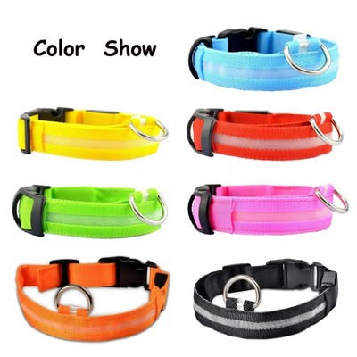 USB Rechargeable LED Dog Collar