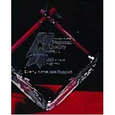 Custom 3D Image in Crystal Large Standing Cube Award (4 3/8"x3 1/8")