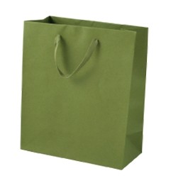 Red Cub Recycled Paper Eurotote Bag