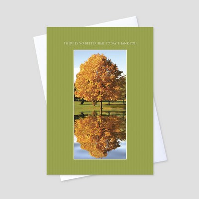 Reflection Tree Thanksgiving Greeting Card