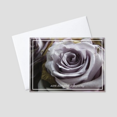 Sympathy Rose Sympathy Greeting Card