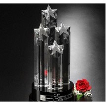 Constellation Award 14"