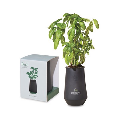 Modern Sprout Tapered Tumbler Grow Kit - Black-Basil