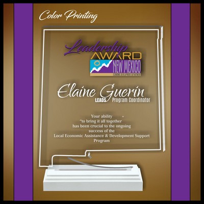 7" New Mexico Clear Acrylic Award with Color Print