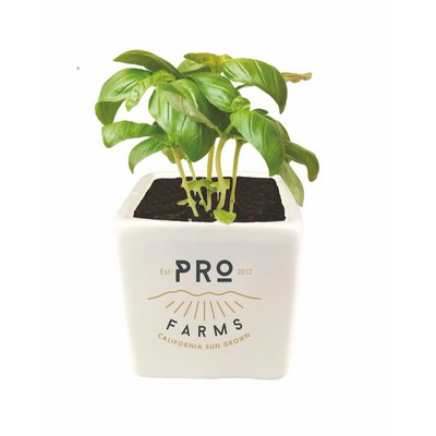 Grow Gift Kit- Basil With Ceramic Pot,Digital Print Direct On The Pot