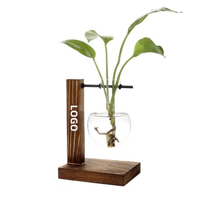 Plant Propagation Station With Wood Stand