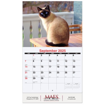 Furever Friends Monthly Wall Calendar w/Staples (10 5/8"x18¼")