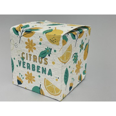 Single Weight Seed Paper Box (3 x 3)