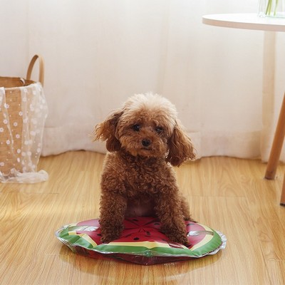 Watermelon Shaped Puppy Pad