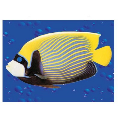 Tropical Fish Metal Photo Magnet (2 1/2"x3 1/2")