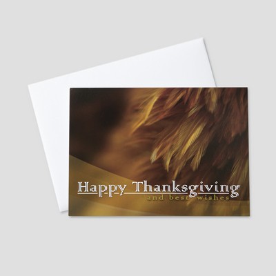 Windswept Feathers Thanksgiving Greeting Card