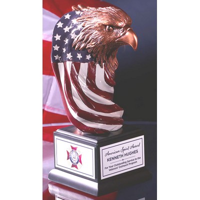 Eagle Head Draped in the American flag