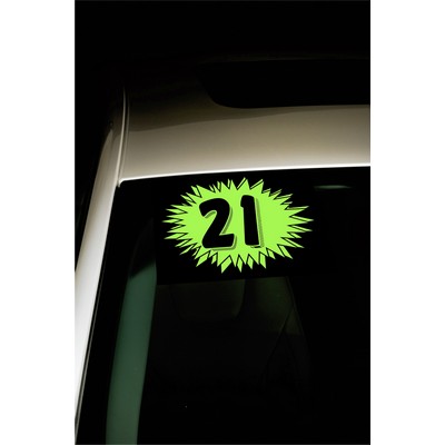 Burst Year Model Decals (Set of 12)