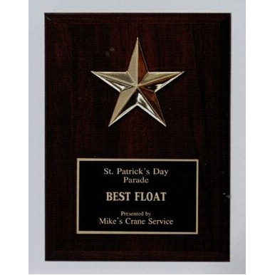 Economy Plaque w/Star (4 ½" x 6")