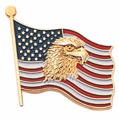 7/8" Eagle & American Flag Die Struck Enameled Pin