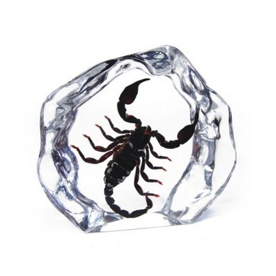 Lucite Paperweights with Real Black Scorpion, 4 1/2"X3 7/8"X 1"