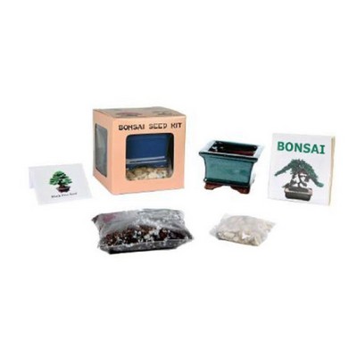 Dogwood Bonsai Seed Kit