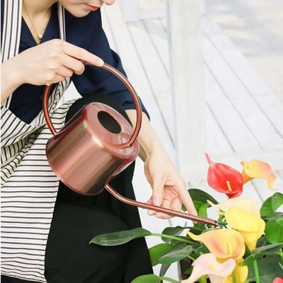 Watering Can for Indoor & Outdoor Plants