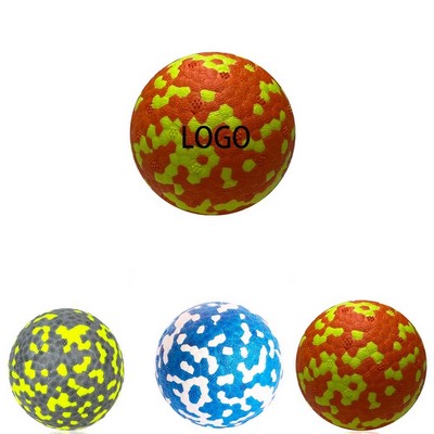 Pet Training Toy Ball