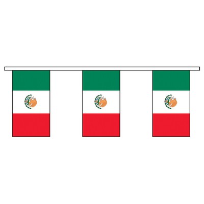 30' Mexico International Collection Display Flag