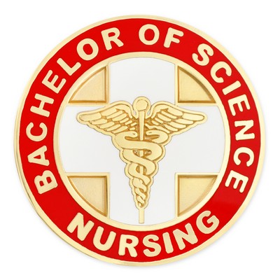 Bachelor of Science Nursing Pin