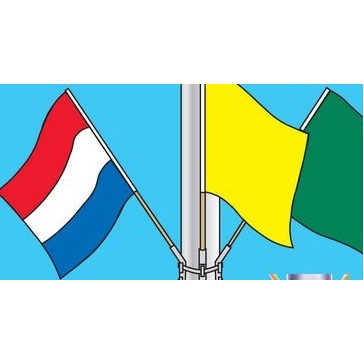 Extra Stock Color Cluster Flags w/Pole