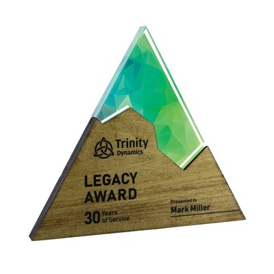 Triangle Edge Puzzle Award