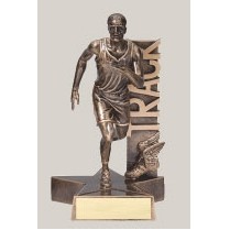 8.5" Male Track Billboard Resin Series Trophy