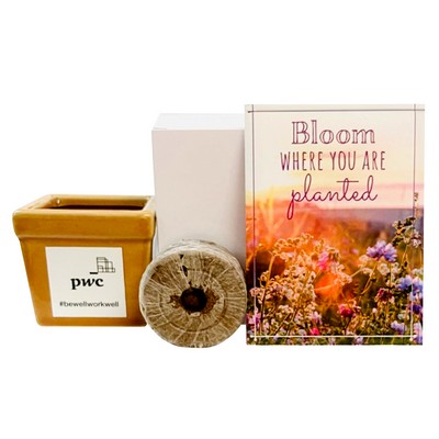 Bloom Where You are Planted Flower Seed Kit