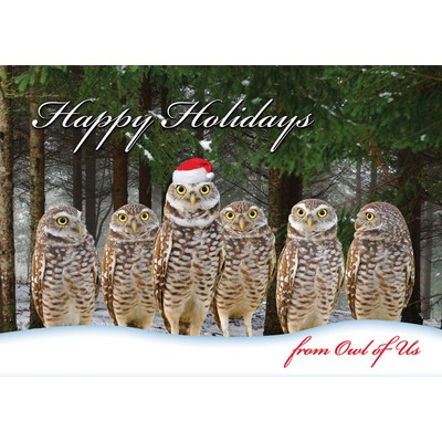 Owl of Us Christmas Cards