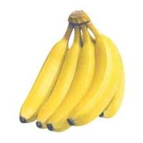 Bananas Lapel Pin