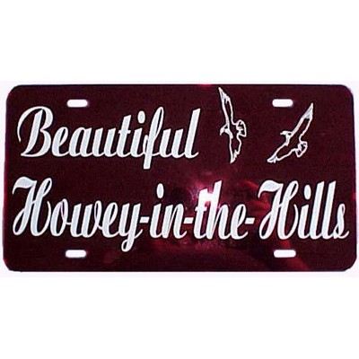 Cut Vinyl - Mirror License Plates