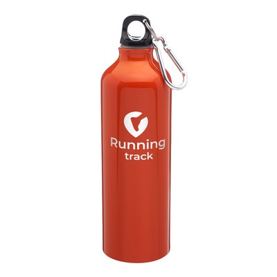 24 oz. Carabiner Aluminum Water Bottle (1 Color Imprint)