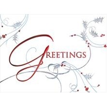 Silver Frosted Holly Greetings Holiday Card