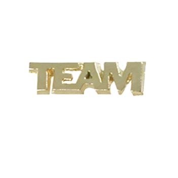 Team Cut Out Cast Stock Jewelry Pin