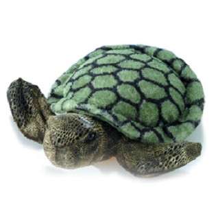 8" Splish Splash Turtle Stuffed Animal