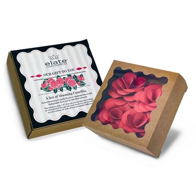 Bloom Box C - Blooming Floret -Flower Gift Set