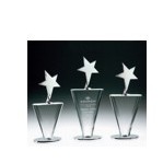 Small Winner's Star Award