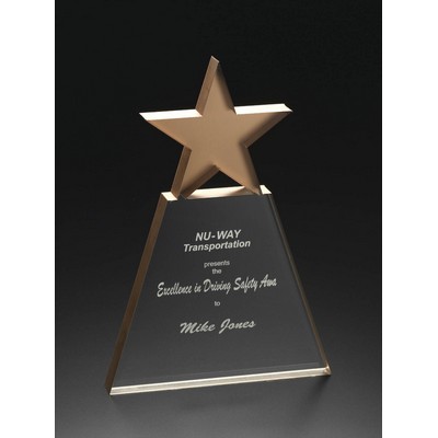 Top Golden Star Award