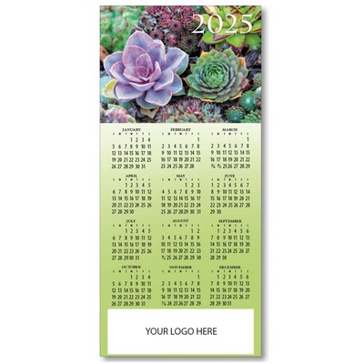 2025 Colorful Succulents Calendar Card