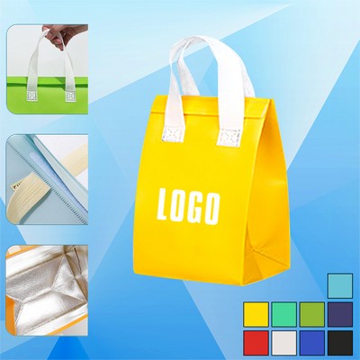 Insulated Thermal Lunch Bag Cooler 120 GMS