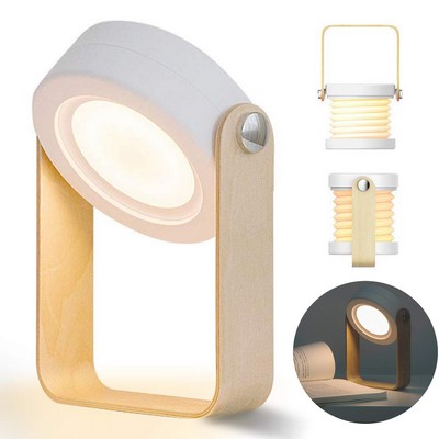 Elegant Home Lamp With Three Uses