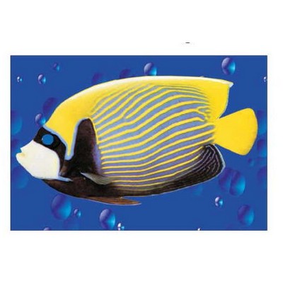 Tropical Fish Rectangle Metal Photo Magnet (2"x3")