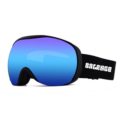 Ski Shop Quality Goggles